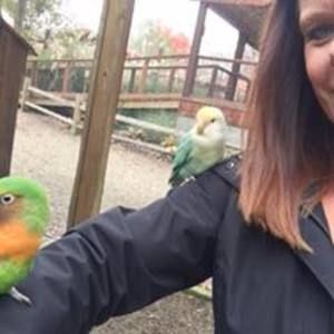 Meet your Posher, Holly